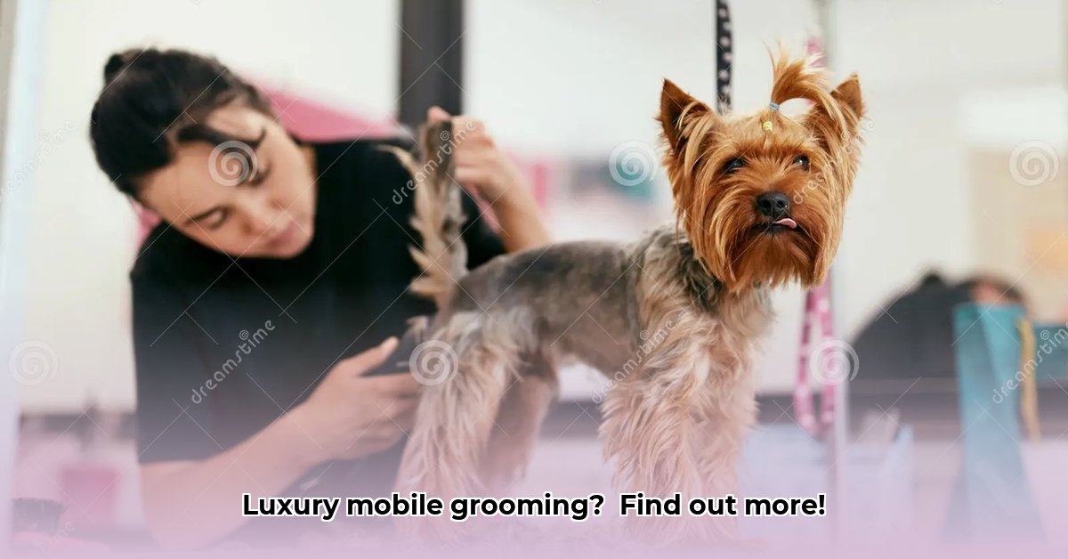 hair-of-the-dog-pet-spa